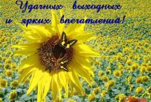 Photo of Почему rusdatas так важен?