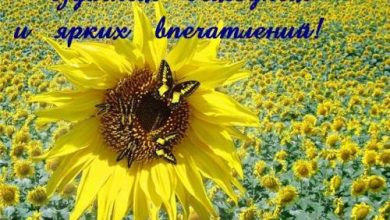 Photo of Почему rusdatas так важен?