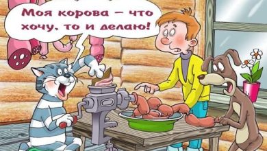 Photo of Расширьте возможности с Rusdatas